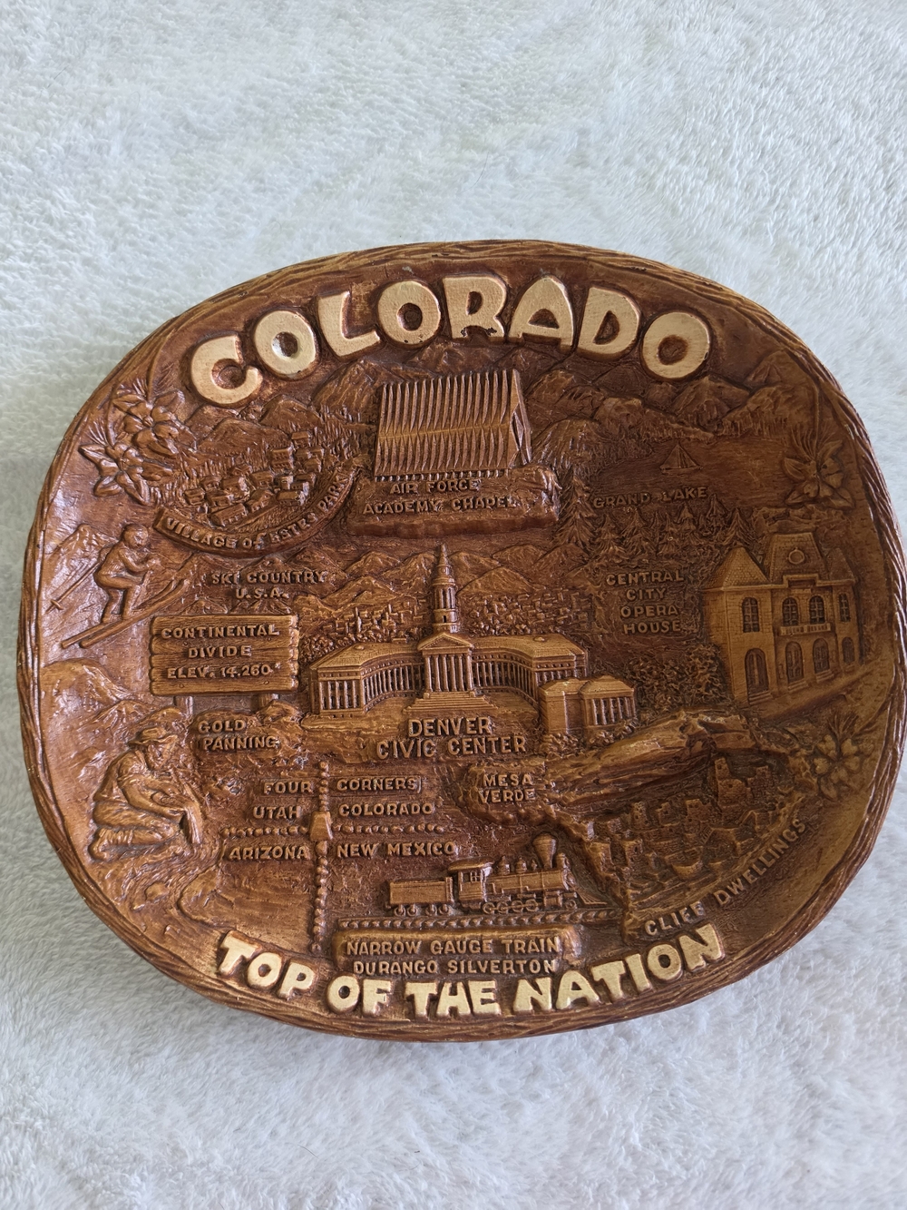 Embossed Collector's Colorado Dish 70s/80s Kitchy Wood Look Resin